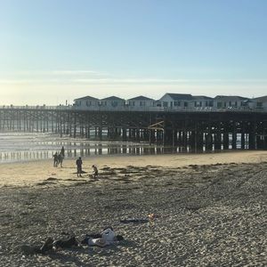 Meet your Posher, Daniela